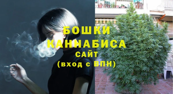 ГАЛЛЮЦИНОГЕННЫЕ ГРИБЫ Арсеньев