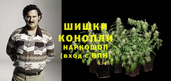 ГАЛЛЮЦИНОГЕННЫЕ ГРИБЫ Арсеньев