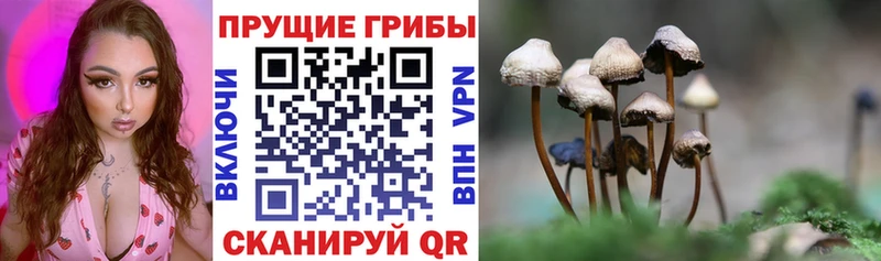 Галлюциногенные грибы MAGIC MUSHROOMS  Судак 