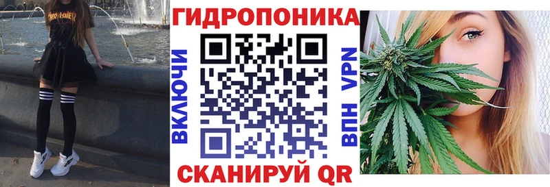 Канабис конопля  дарк нет состав  Судак 